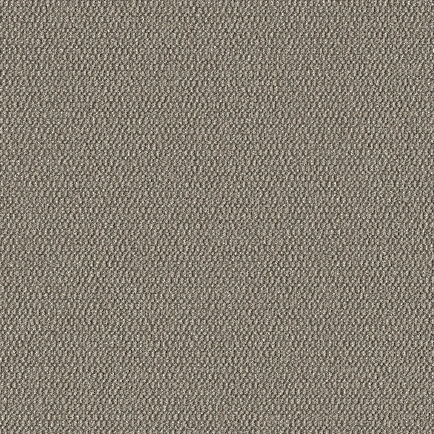 Demi Boucle - Chia - 2005 - 02