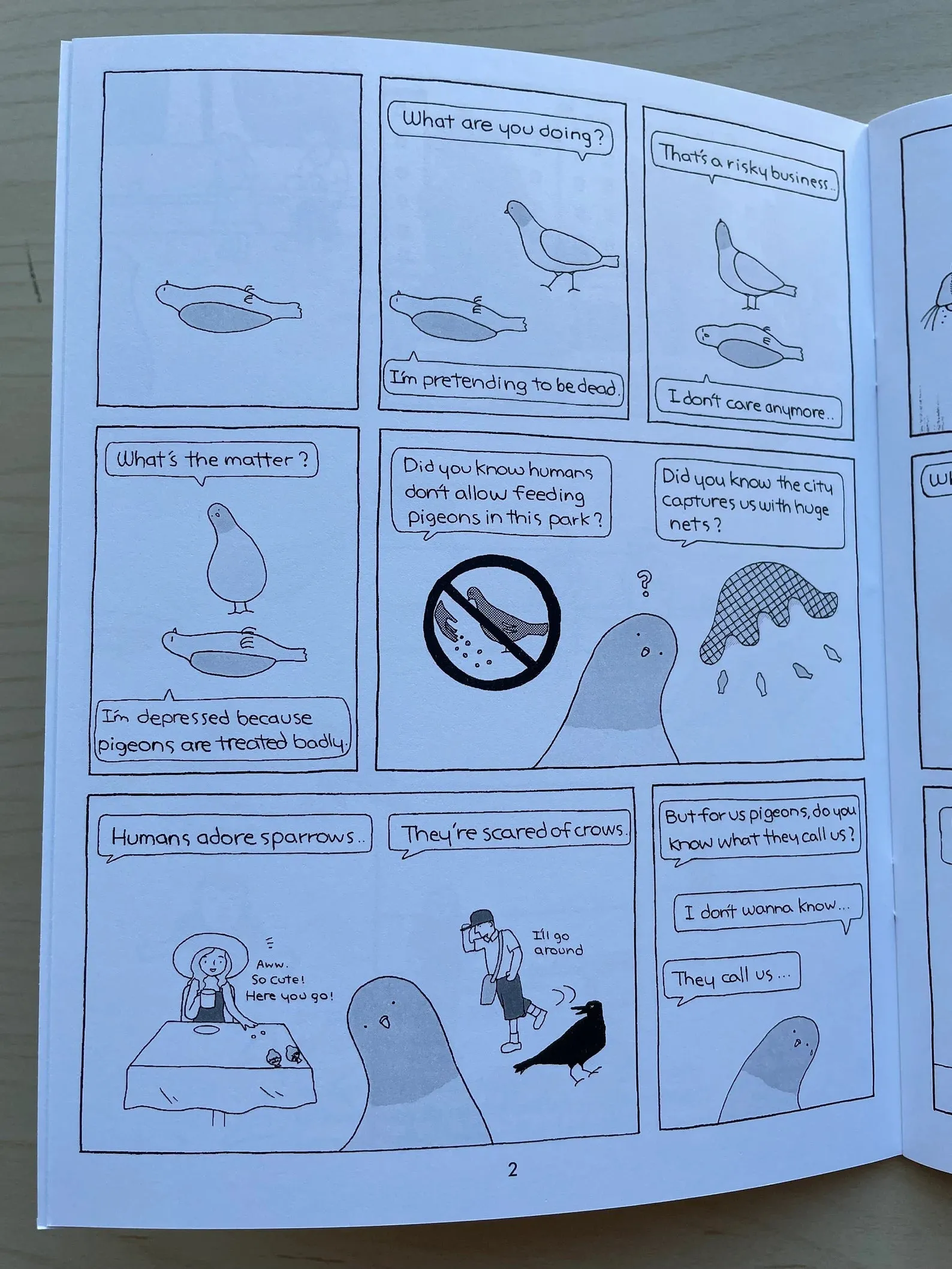 The Pigeons of Los Angeles